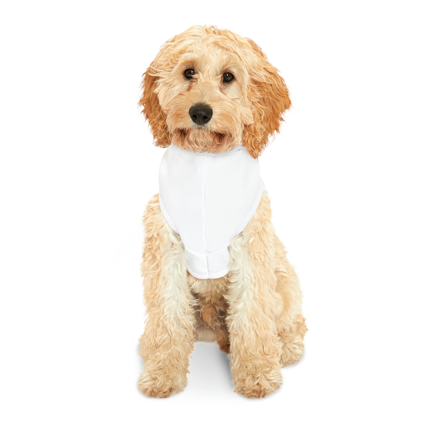 Flipping Tables Pet Hoodie