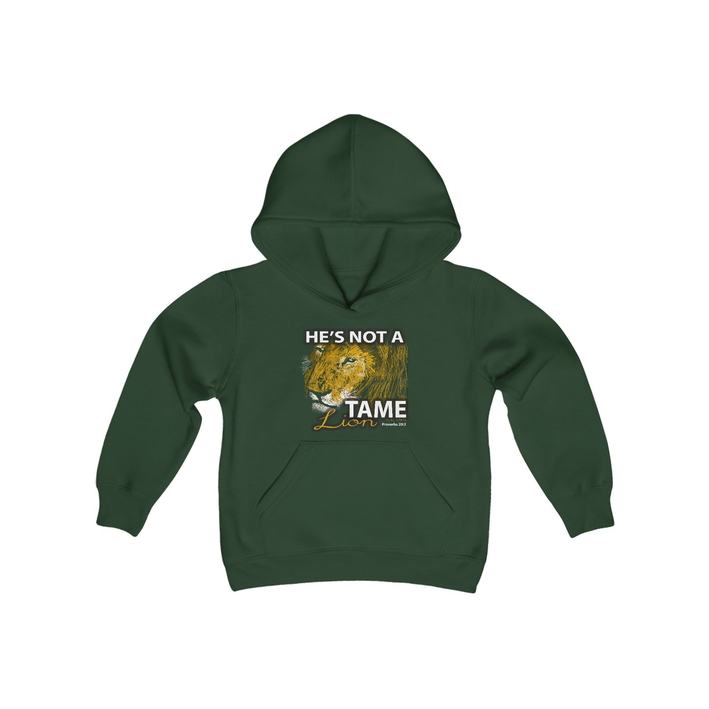 Not A Tame Lion Youth Heavy Blend Hooded Sweatshirt