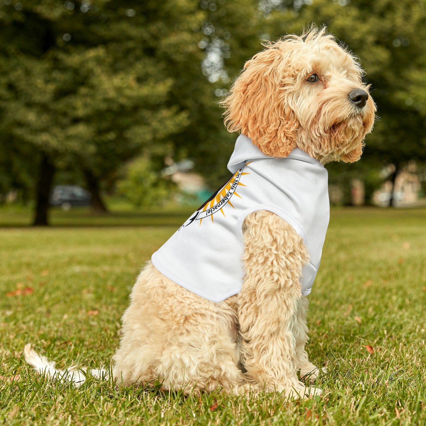 Flipping Tables Pet Hoodie
