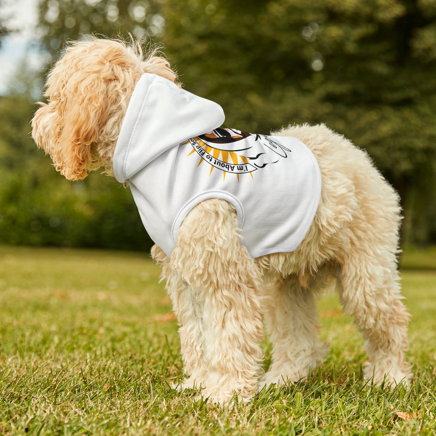 Flipping Tables Pet Hoodie