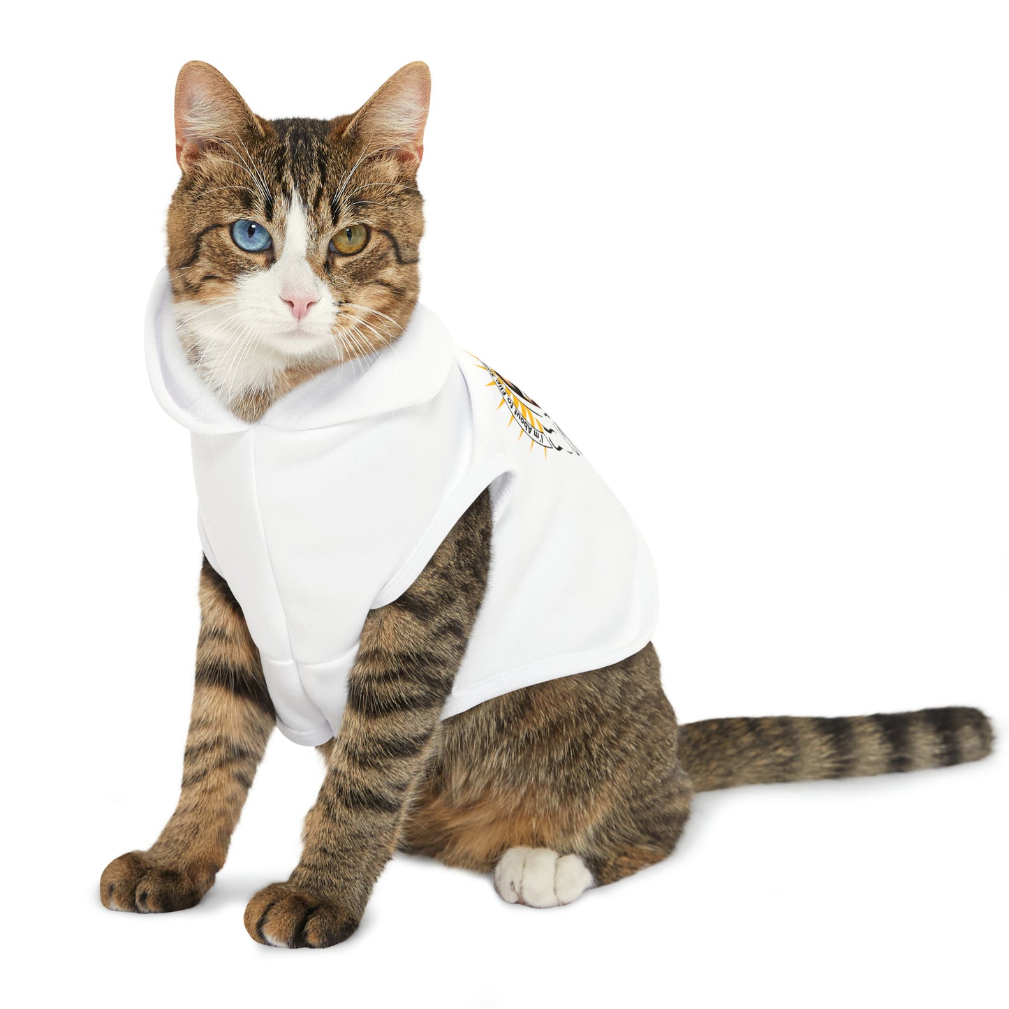 Flipping Tables Pet Hoodie