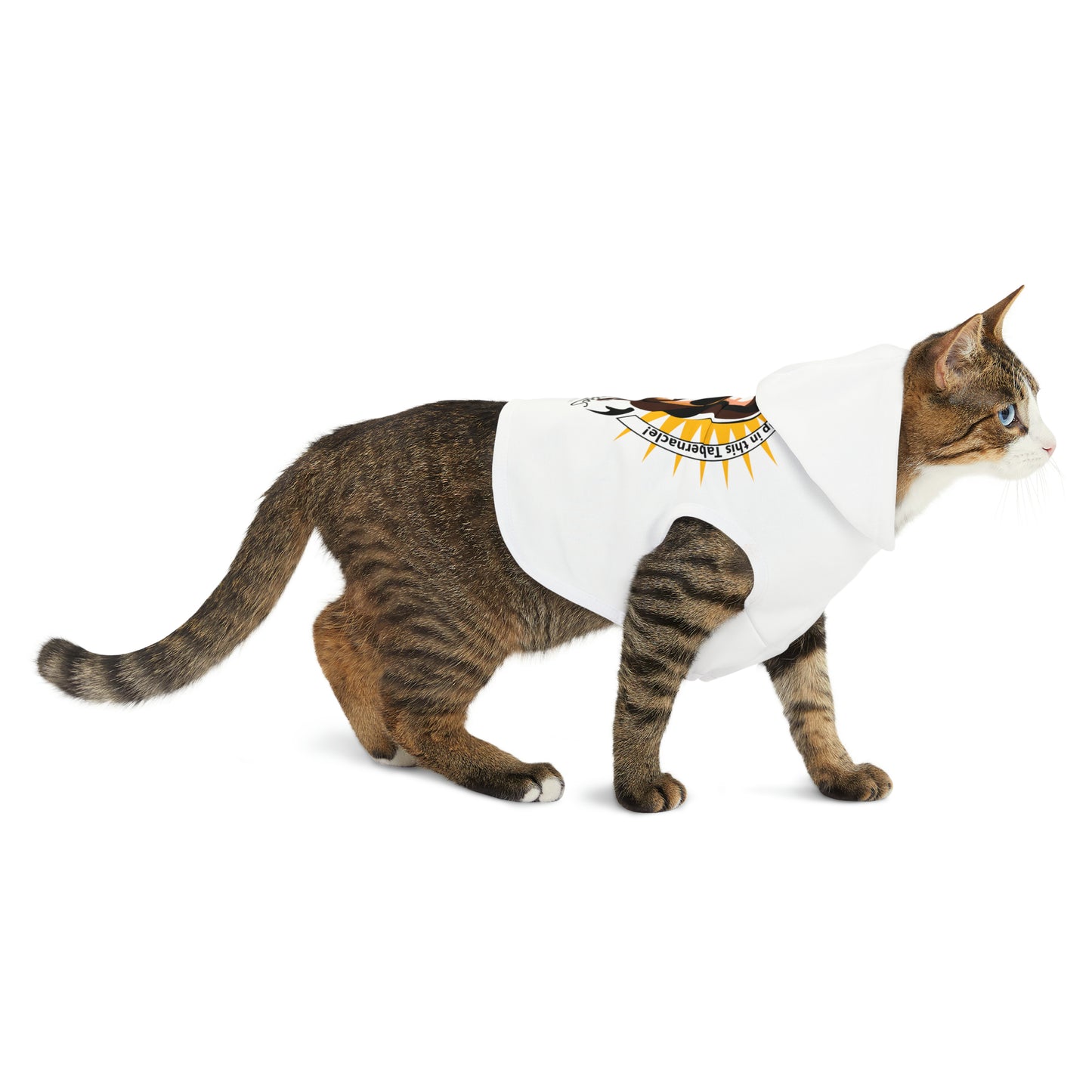 Flipping Tables Pet Hoodie