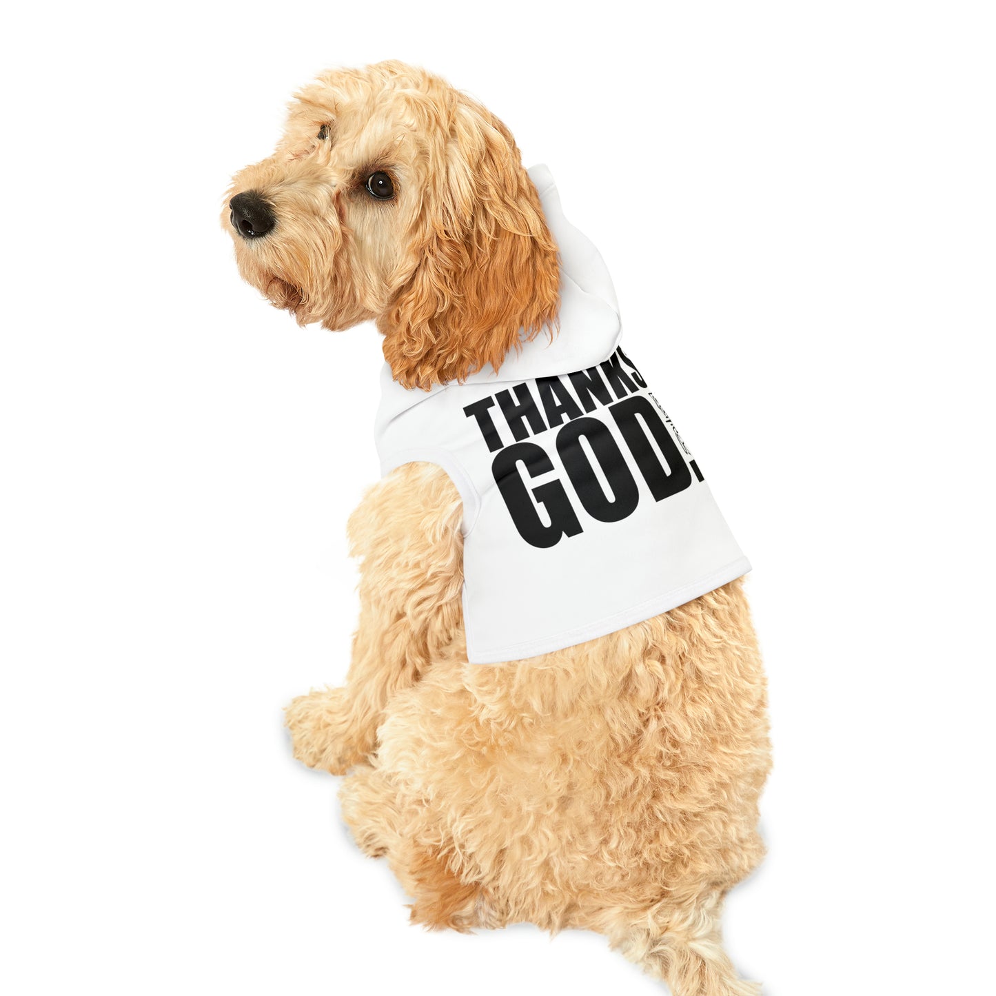 Thanks God Pet Hoodie