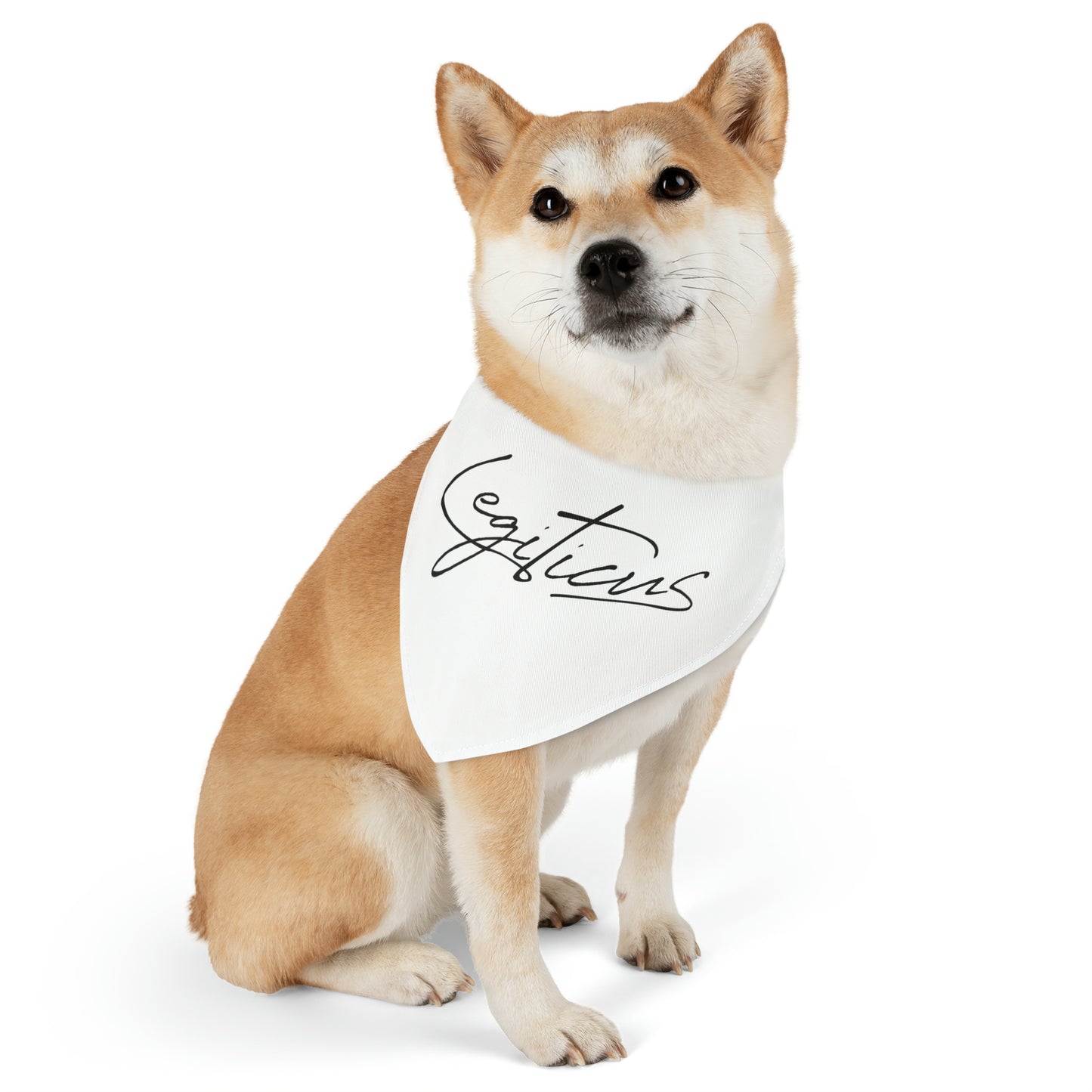 Classy Logo Bandana Collar