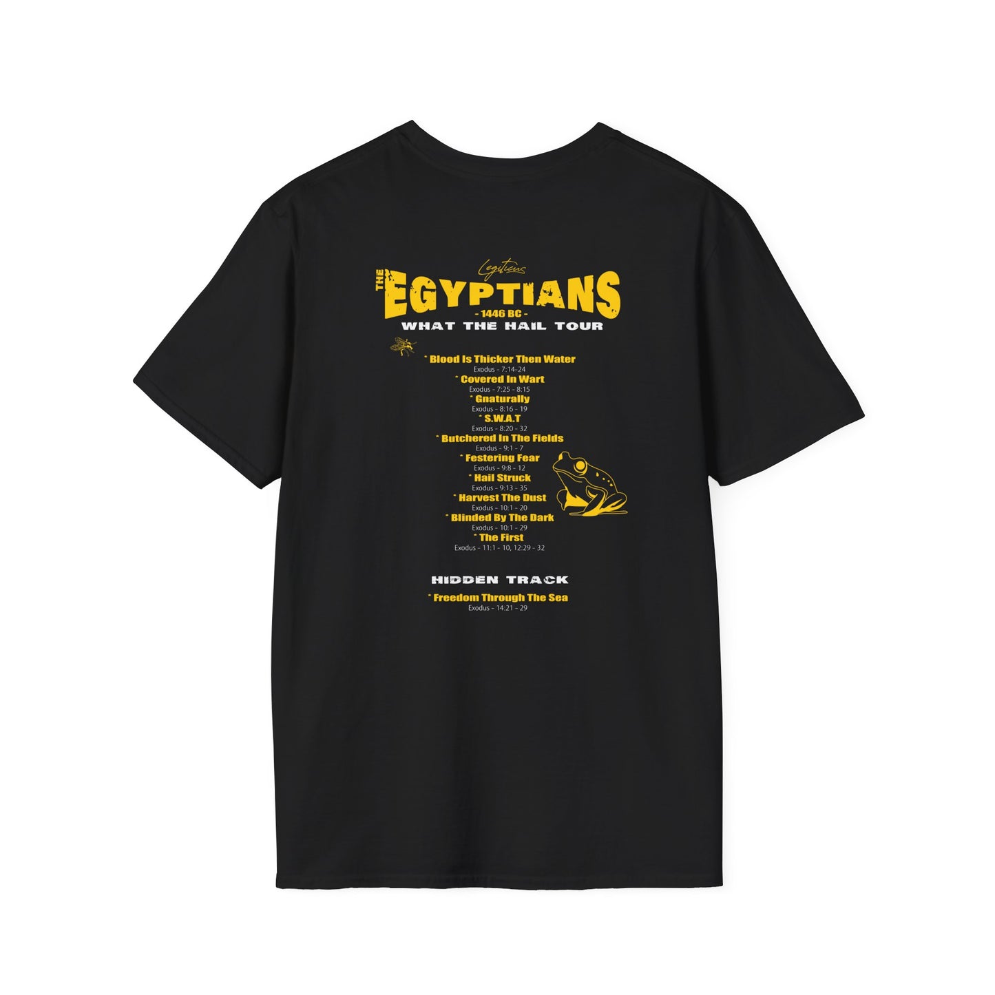 What the Hail Tour Unisex Softstyle T-Shirt