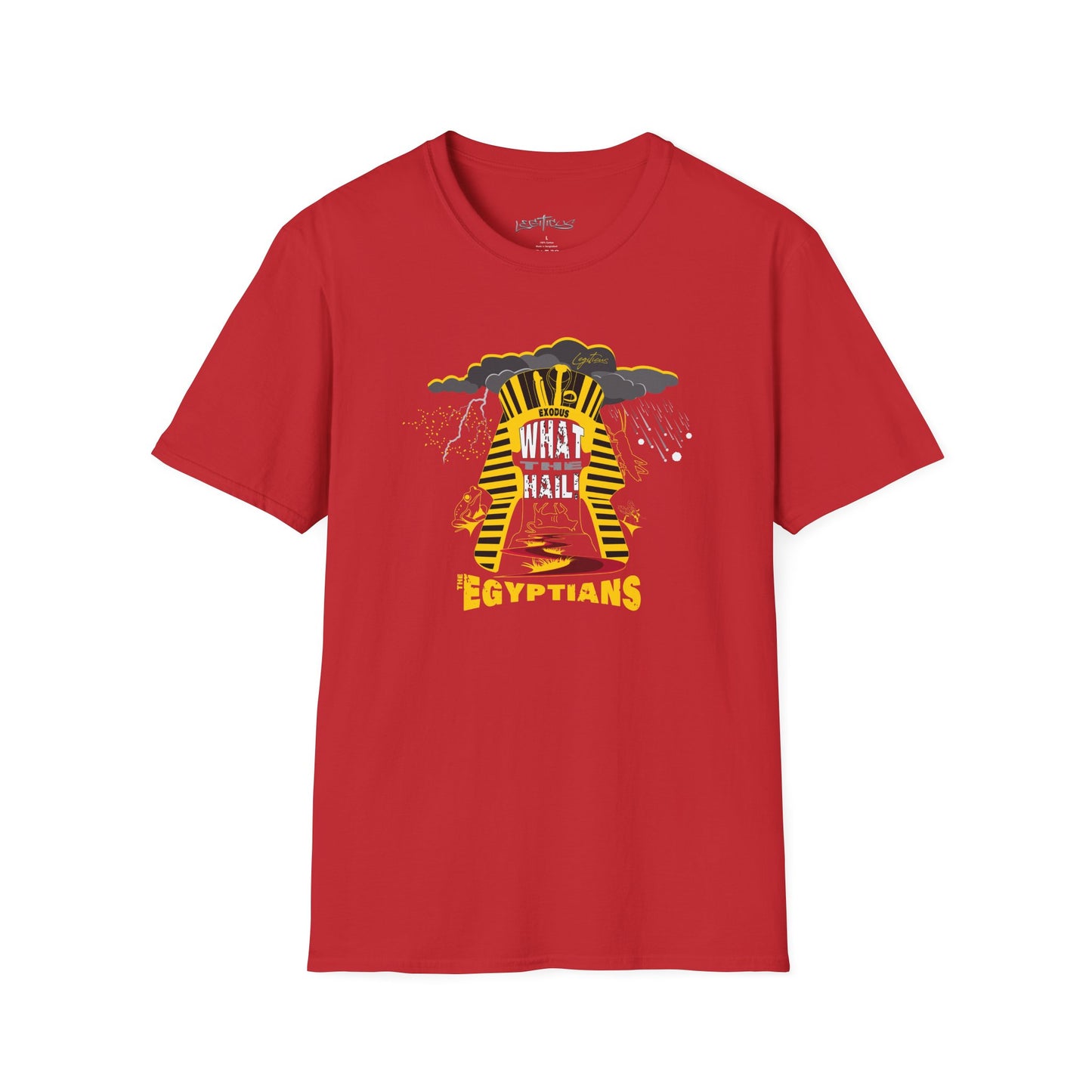 What the Hail Tour Unisex Softstyle T-Shirt